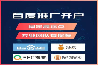 顶级SEM服务公司案例解析